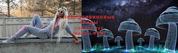 apvp Аша