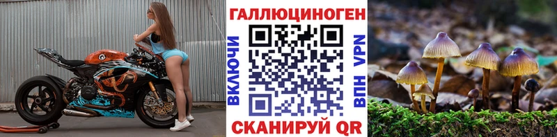 Галлюциногенные грибы мухоморы  Устюжна 